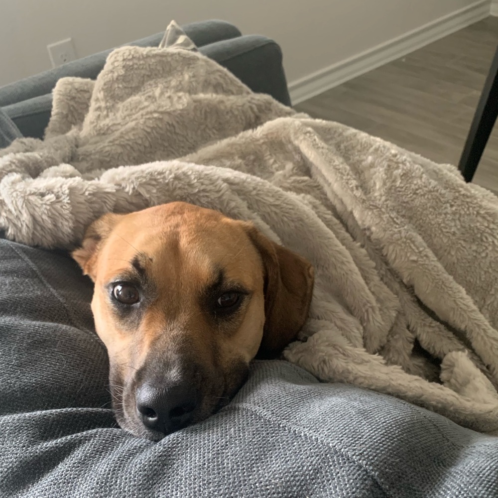 Meet your Posher, Chris